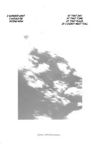(C81) [SONIC WINTER (Tsukishima Kai)] Carol (Infinite Stratos) [English]