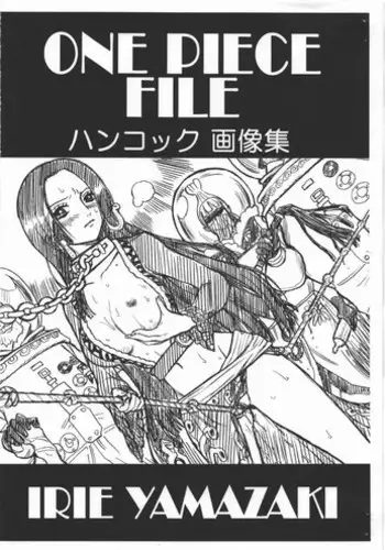 [Rat Tail (Irie Yamazaki)] One Piece File Robin Gazoushuu + (One Piece)