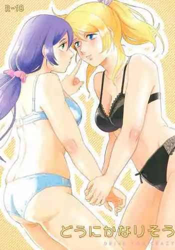 Dou ni ka Narisou