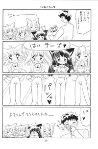 (C57) [Nekomimi Sorcery (Masamineko)] Koneko de Chuu