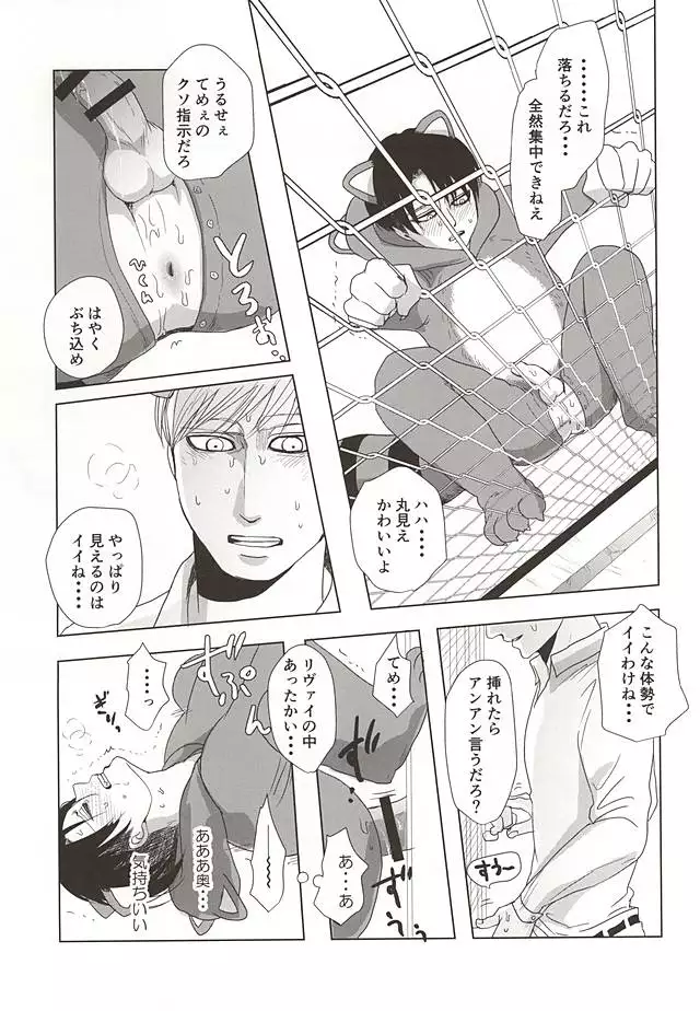 Araiguma no Levi