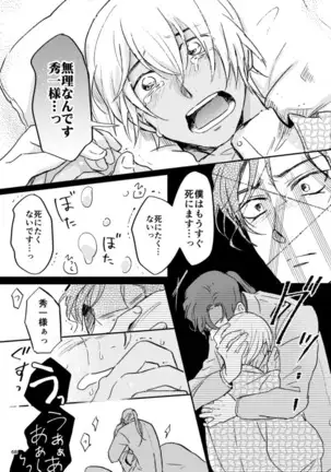 雪の果て