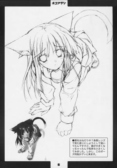 Neko Arashi