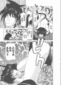 [Hori Hiroaki] Nekomimi Taisen