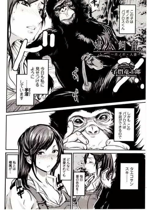Kemono DIRECT 4