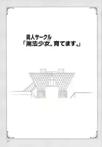 (SC37) [PLUM (Kanna)] Magical SEED FREEDOM (Mahou Shoujo Lyrical Nanoha)