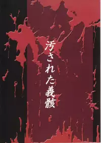 (C61) [Ginmomodou (Mita Satomi)] Yogosareta Gigai (Bleach)