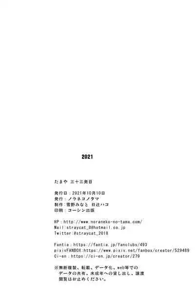 たまや 三十三発目