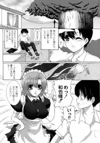 [Hatoya Mameshichi] Maid100%