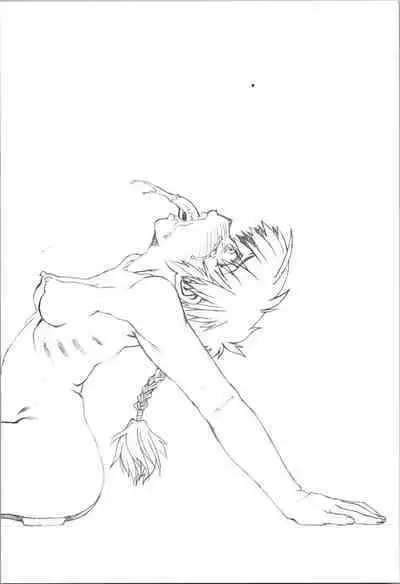 Saotome Ranma no Seitai Preview Ver2