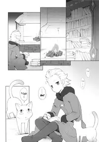 (COMIC1☆4) [Bakuhatsu BRS. (B.Tarou)] Cat Princess (Final Fantasy Gaiden) [English] [YQII]