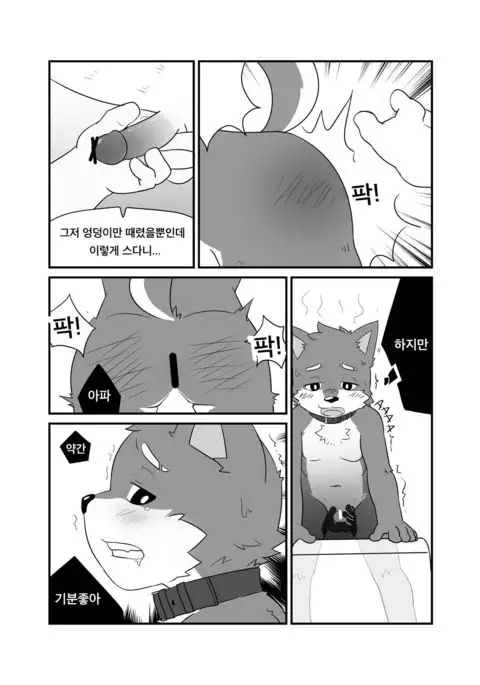 Special Takeout