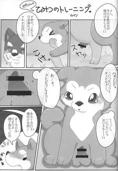 (Kansai! Kemoket 3) [PPOINO! (Various)] Boda kon