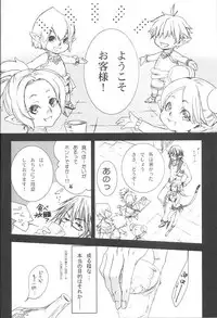 (C74) [Akai Tsubasa (Tachibana Chata)] LOVE FOOL 02 (Final Fantasy XI)