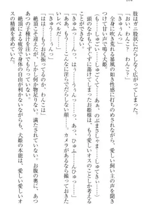 戦国犬姫！