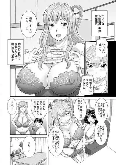 Innyu Shufu no Futei Ganbou