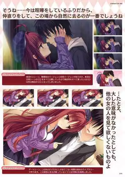 DRACU-RIOT! Official Visual Fan Book