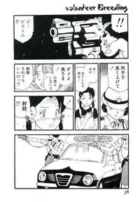 [Kaimeiji Yu] Volunteer Breeding