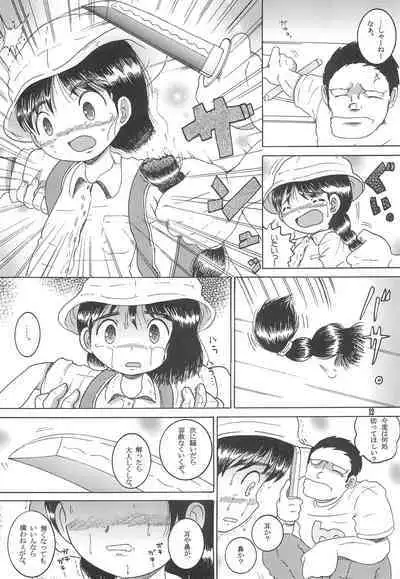 Michikusa Youkan