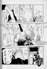 [Sanbun Kyoden] Hiiro no Koku Joukan