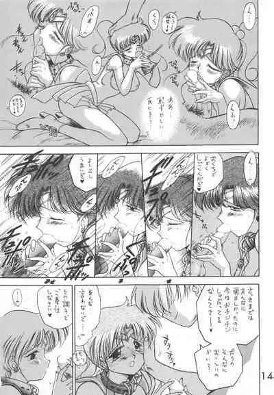 Star Platinum
