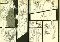 草莓100分 13