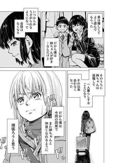 Mou, Ane to Shite Ninshiki Dekinai.