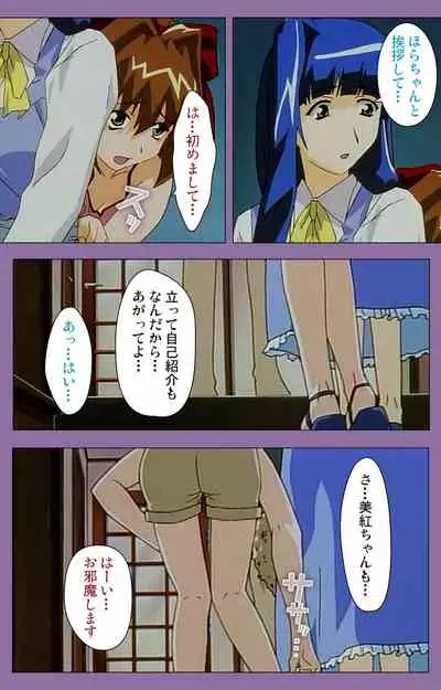 Shimai-ijiri kanzenhan