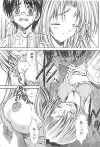 Doki! 2007-11