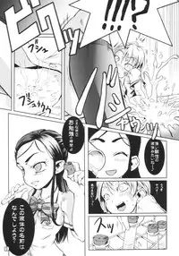 (C66) [ARMORED Ginkakuji (Maybe)] Bakopa (Futari wa Precure)