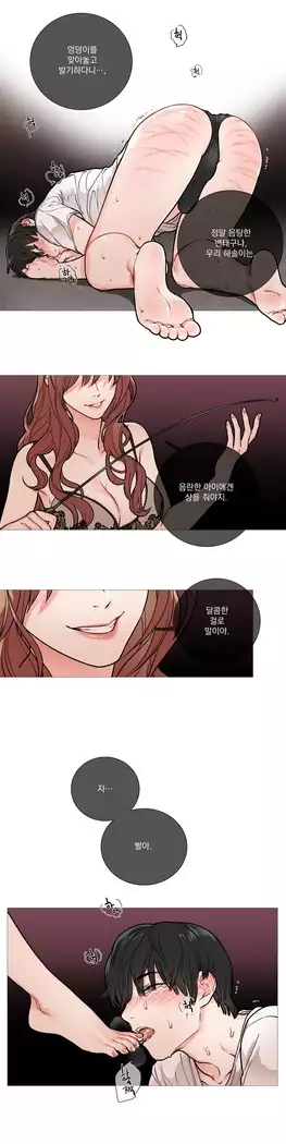 Sadistic Beauty Ch.0-25