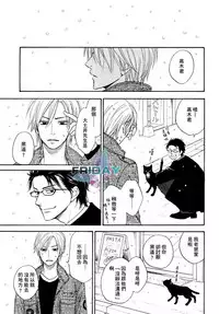 Sugar Code 1~3
