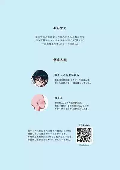 Tasuketekureta Ningyo no Mesu Onii-san to Icha Icha suru Hon