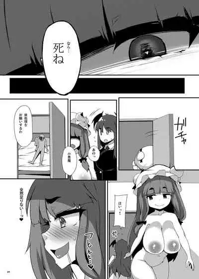 Patche Houkai