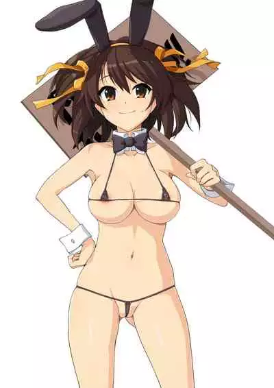 Harucos 8