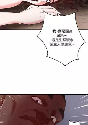 母豬養成計畫