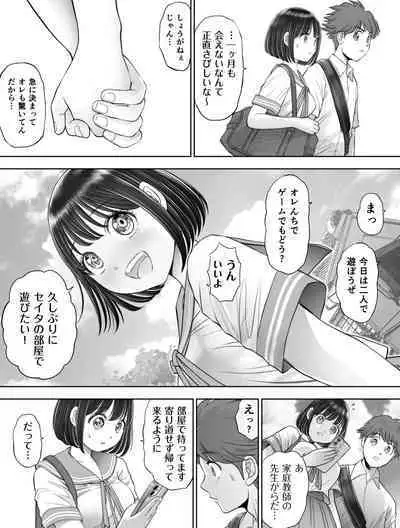 Watashi wa Maiban Guro Chin Katei Kyoushi ni... Tanetsuke Saretemasu. Soushuuhen