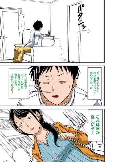 Futsuu no Shufu ga Fuuzoku ni Ochita Riyuu
