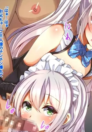 Oshizuke Maid Shimai