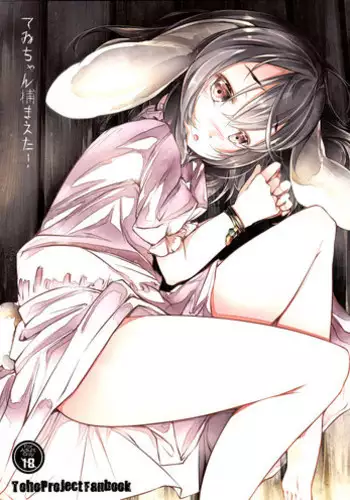 (C90) [Shirokurousa (Sugiyuu)] Inman Tewi no Yuuwakubiyori (Touhou Project)