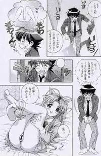 (C56) [Doudan Tsutsuji (Doudantsutsuji, Hirokawa Tomo)] Getten! (Mamotte Shugogetten)