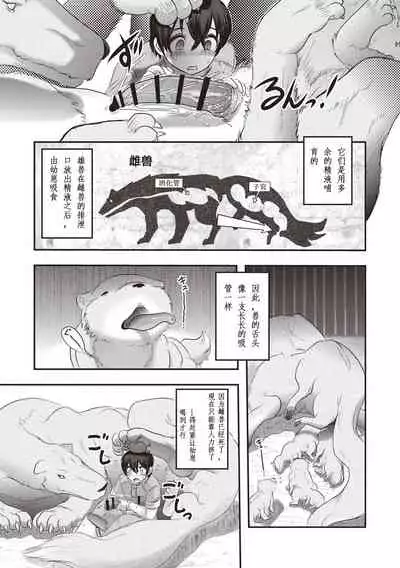 人肛飼育