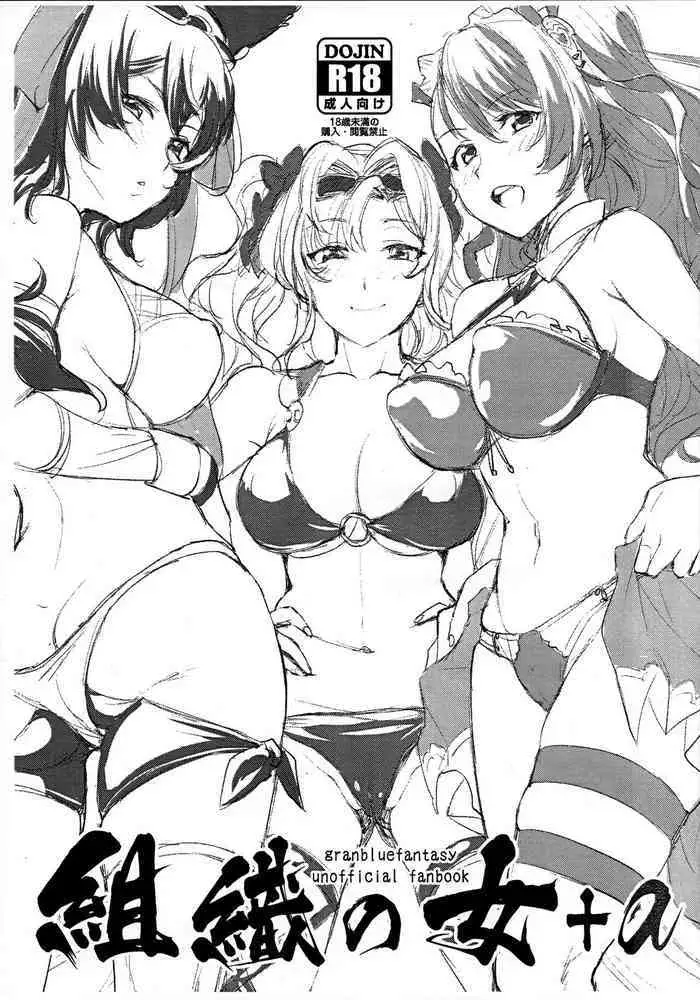 (C91) [Kitsune (Tachikawa Negoro)] Vasera-bu! (Granblue Fantasy)