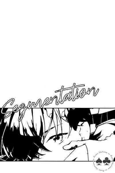 segmentation