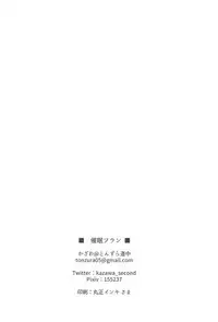 (C95) [Tonzura Douchuu (Kazawa)] Saimin Flan (Touhou Project) [Chinese] [后悔的神官个人汉化]