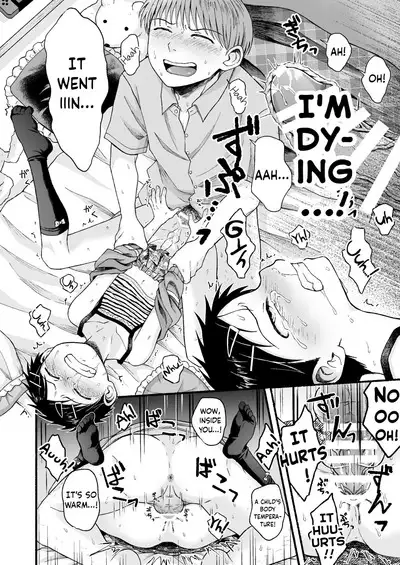 Dainiji Metamorphosis | Second Metamorphosis