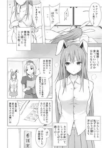 (Meikasai 13) [Tekomenchi (Techi)] Nure Usagi no Hatsujou Kango (Touhou Project)