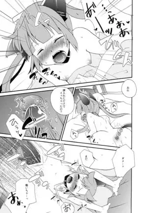 Tadashii Nyanko no Shitsukekata