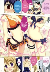 (C80) [Essentia (Fujima Takuya)] Natsushiki IS Beach (Infinite Stratos) (English) =Team Vanilla=