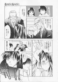 [Nikaidou Mitsuki] Hana no You ni Tori no You ni